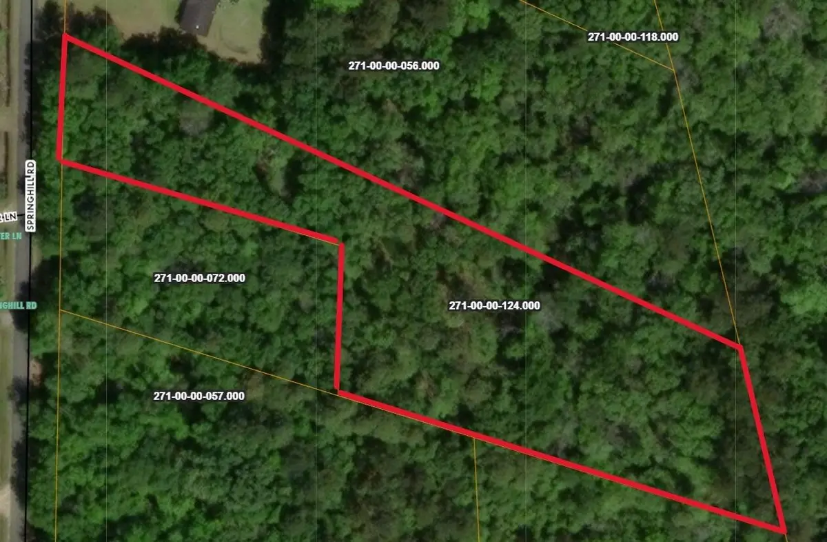 0 Spring Hill Road, Green Pond, SC 29446 - Image #1