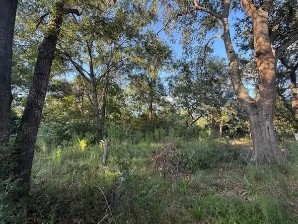 0 Pine Grove Road, Beaufort, SC 29906