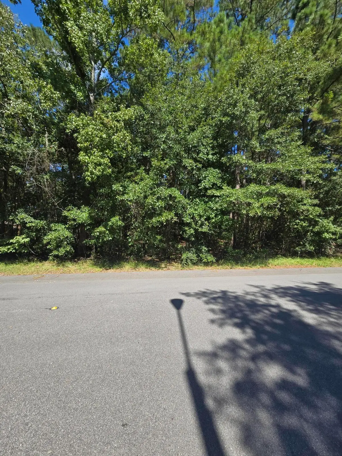 0 Essex Drive, Orangeburg, SC 29118 - #1