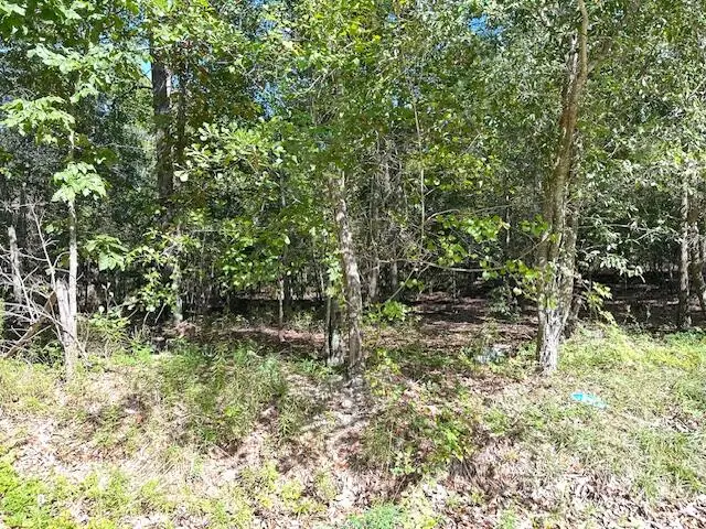 0 A Acorn Lane, Santee, SC 29142 - #2