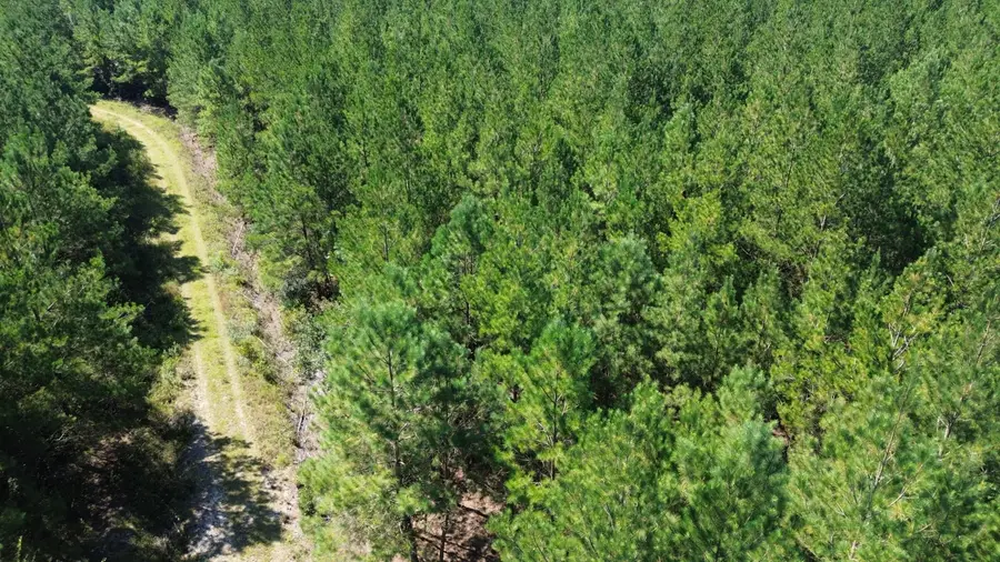 15 Red Oak Road, Cottageville, SC 29435 - Image #2