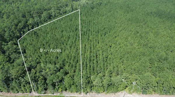 9 Red Oak Road, Cottageville, SC 29435