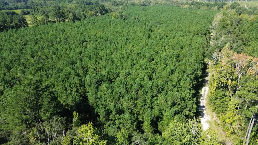 0 Lowcountry Highway, Ruffin, SC 29475 - Image #2