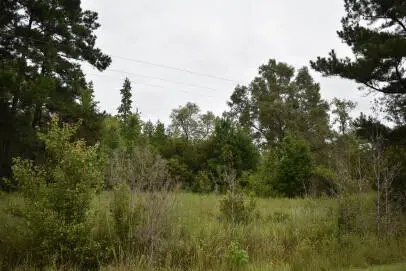 1544 Isabella Road, Kingstree, SC 29556 - Image #2