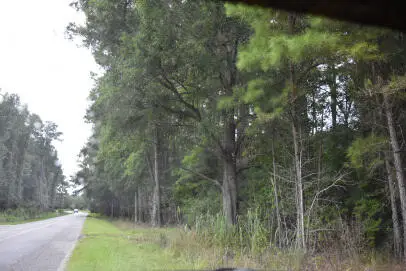 80 Thompson Road, Hemingway, SC 29554 - Image #2