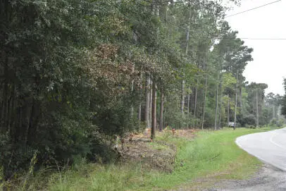 Lot 14 Tupperware Road, Hemingway, SC 29554 - Image #2