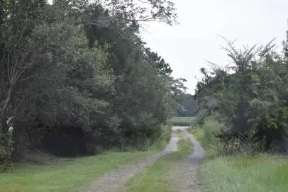 0 Lilac Lane, Nesmith, SC 29580