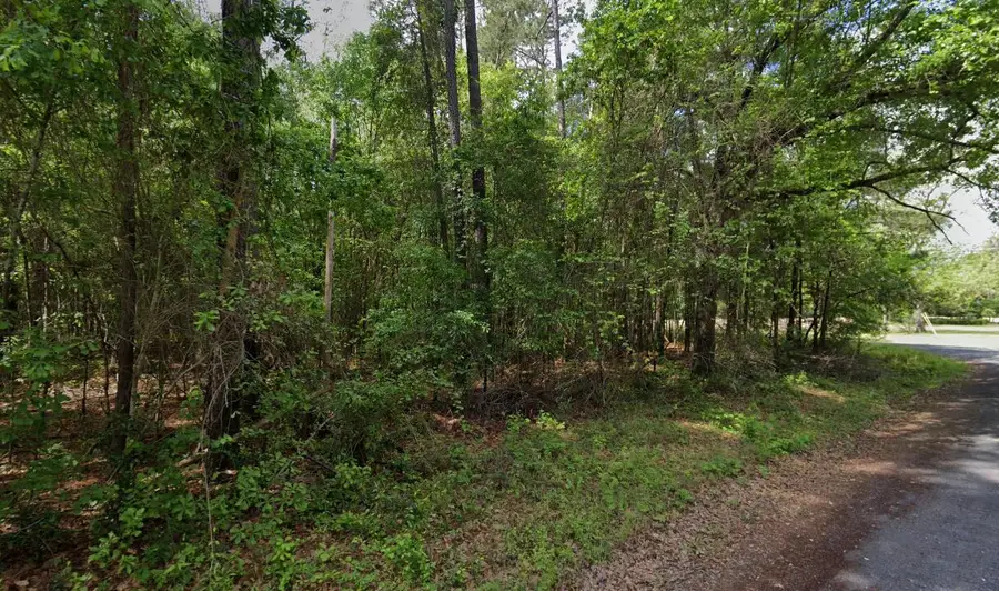 0 Hodges Road, Kingstree, SC 29556 - Image #3