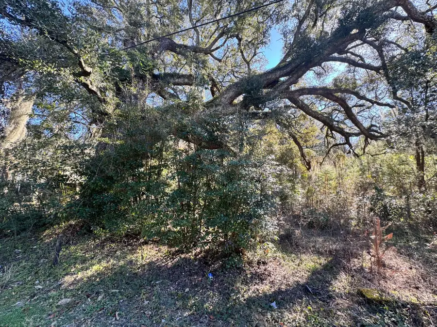 183 Pidgeon Bay Road, Summerville, SC 29483 - #2