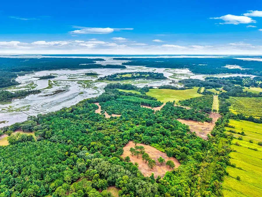 0 Back Forty Road, Wadmalaw Island, SC 29487 - Image #3