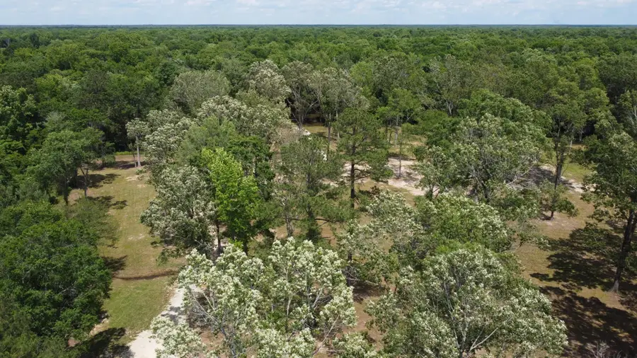 474 River Bluff Trail, Saint Stephen, SC 29479 - Image #3