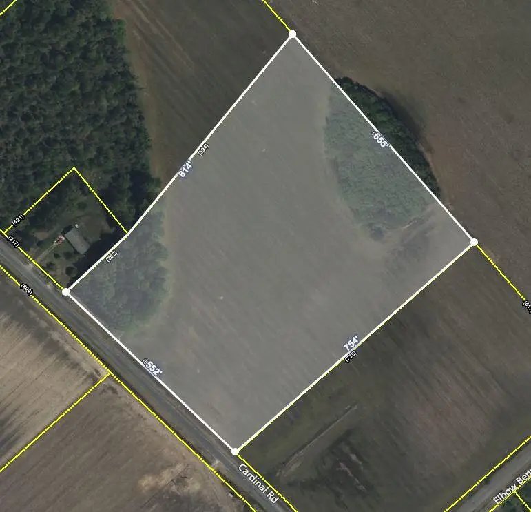 0 Cardinal Road, Elloree, SC 29047 - Image #3