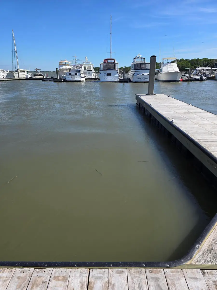Address Withheld By Seller, Folly Beach, SC 29439 - Image #2