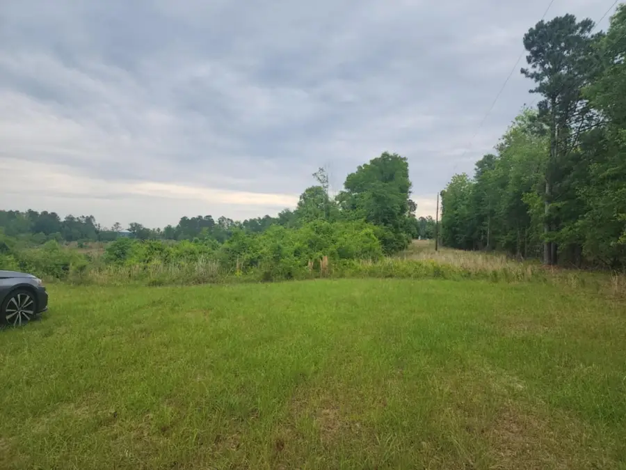 551 Gravel Hill Road, Allendale, SC 29810 - Image #2