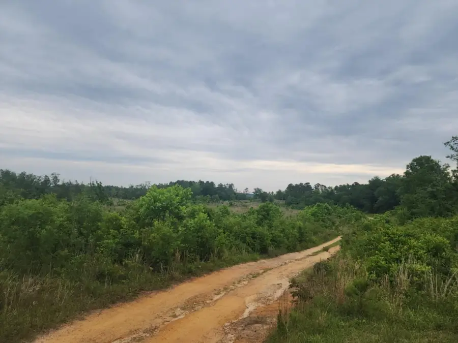 551 Gravel Hill Road, Allendale, SC 29810 - Image #3