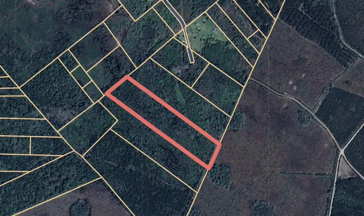 00 Misty Ridge Lane, Walterboro, SC 29488 - #1