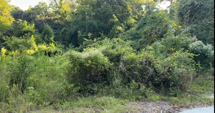 909 Black Street, Walterboro, SC 29488 - Image #2