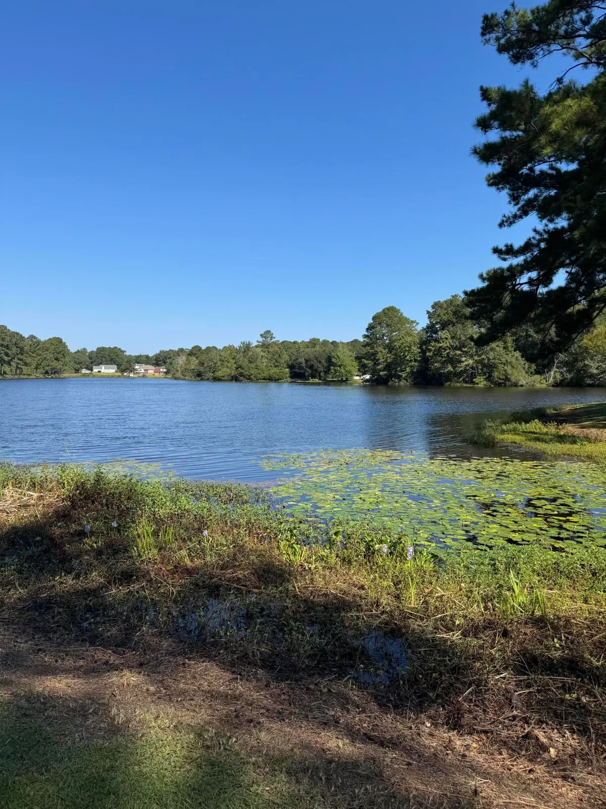 1332 Dogwood Drive, Orangeburg, SC 29118 - Image #1