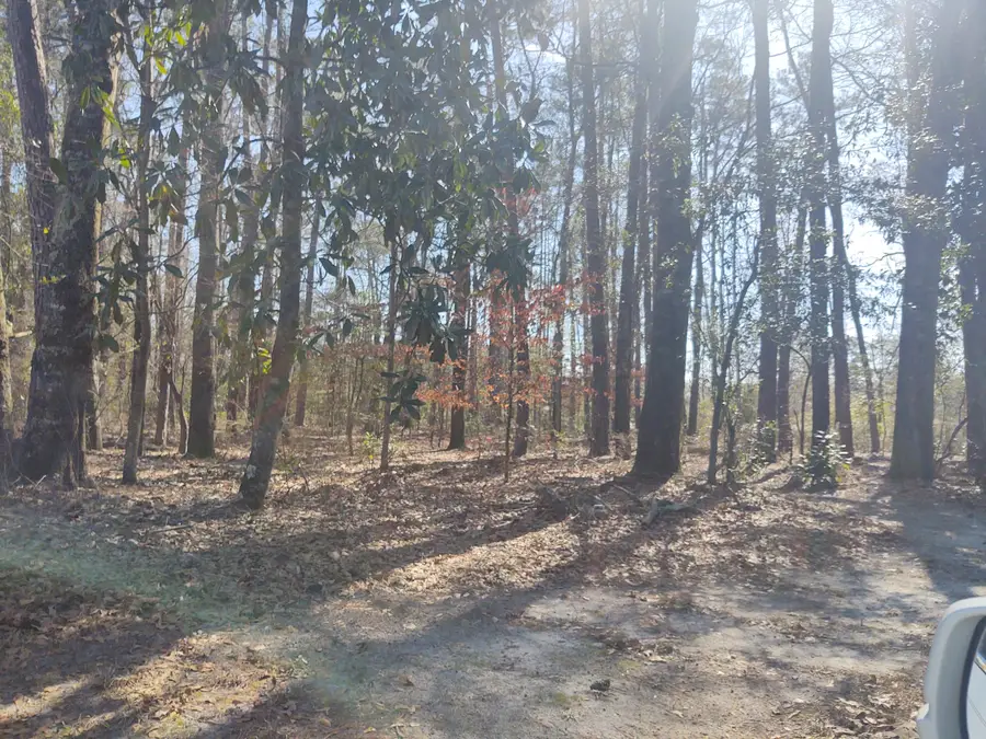 10839 Dorchester Road, Summerville, SC 29485 - #2