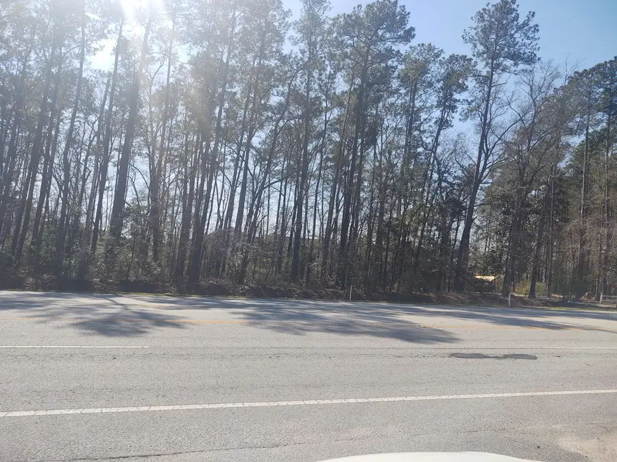 10839 Dorchester Road, Summerville, SC 29485 - #3