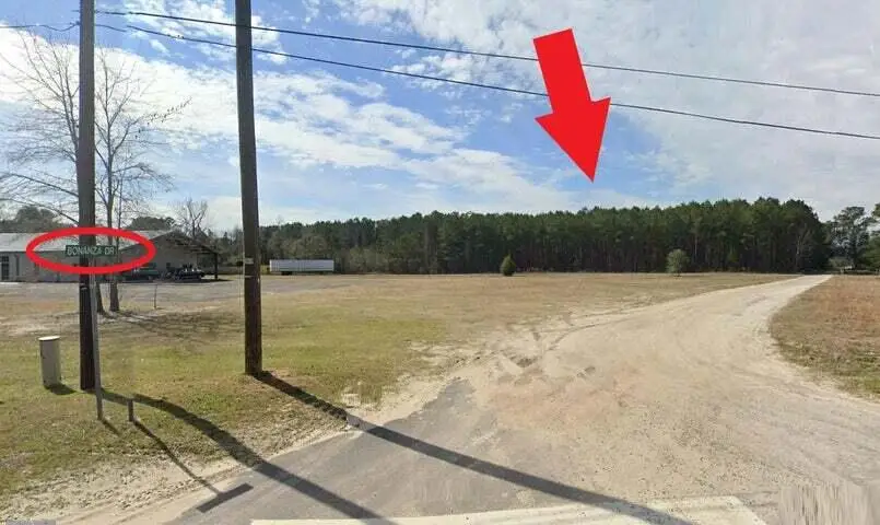0 Bonanza Drive, Eutawville, SC 29048 - Image #2