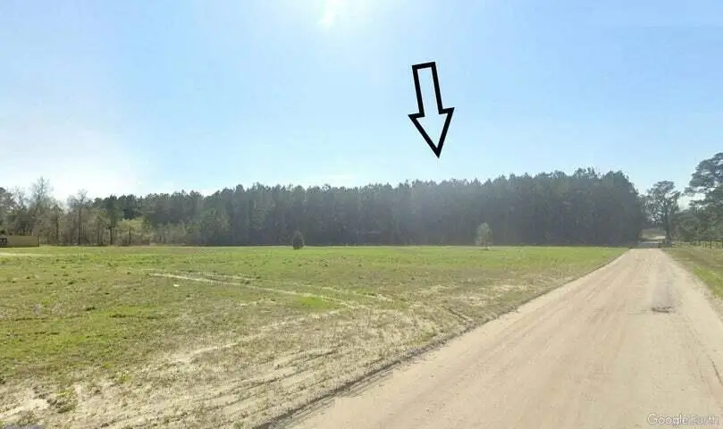 0 Bonanza Drive, Eutawville, SC 29048 - Image #3