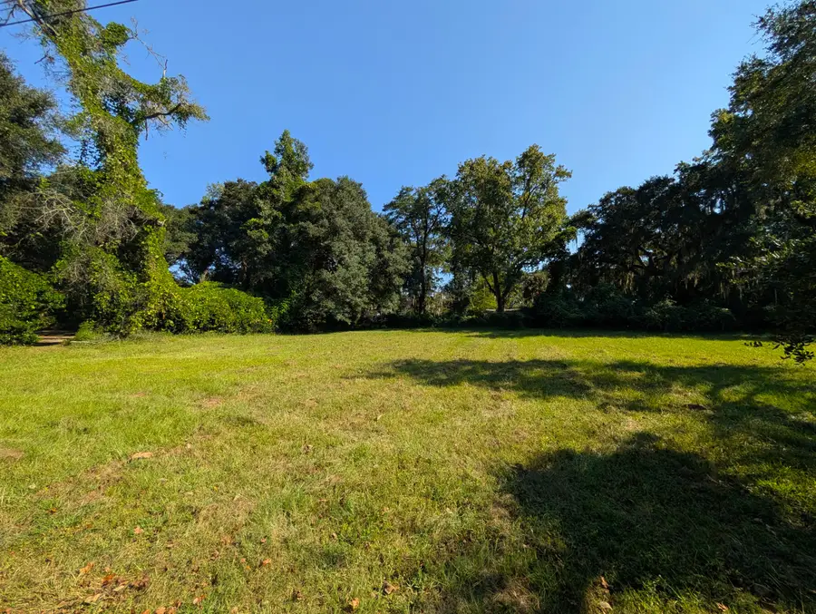 211 Cassena Street, McClellanville, SC 29458 - #2