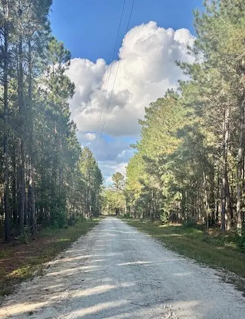 432 River Bluff Trail, Saint Stephen, SC 29479