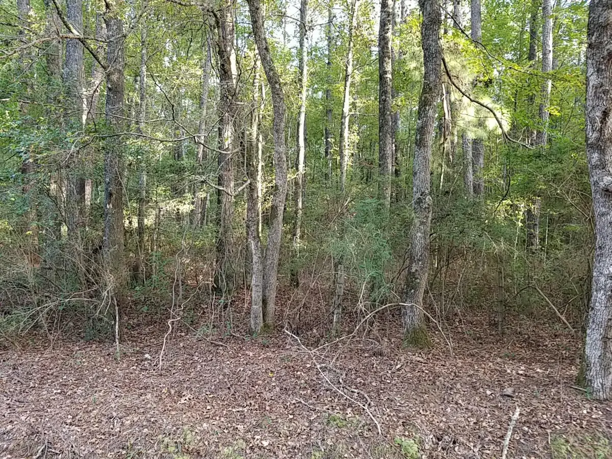 0 Buckhead Road, Smoaks, SC 29481 - Image #1