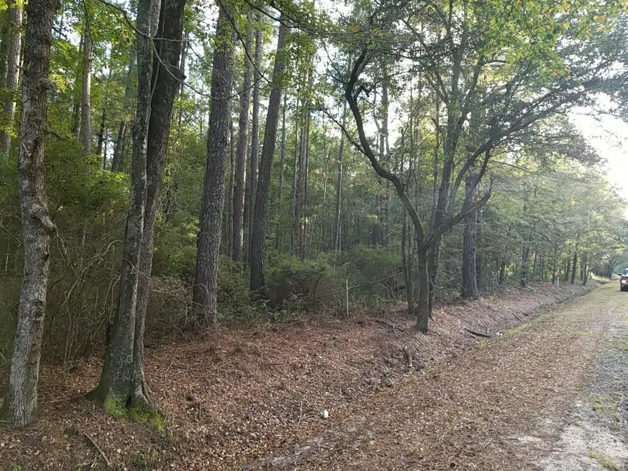 0 Buckhead Road, Smoaks, SC 29481 - Image #3