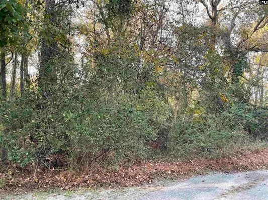 3551 Moonlight Road, Barnwell, SC 29812 - #2