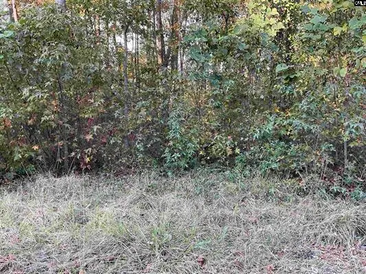 3551 Moonlight Road, Barnwell, SC 29812 - #3