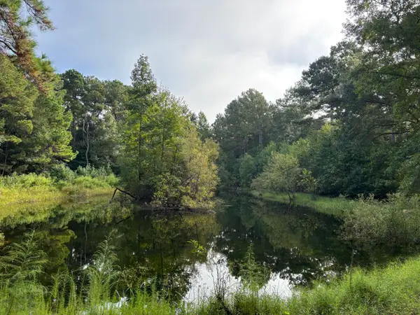 0 Providence Circle, Awendaw, SC 29429