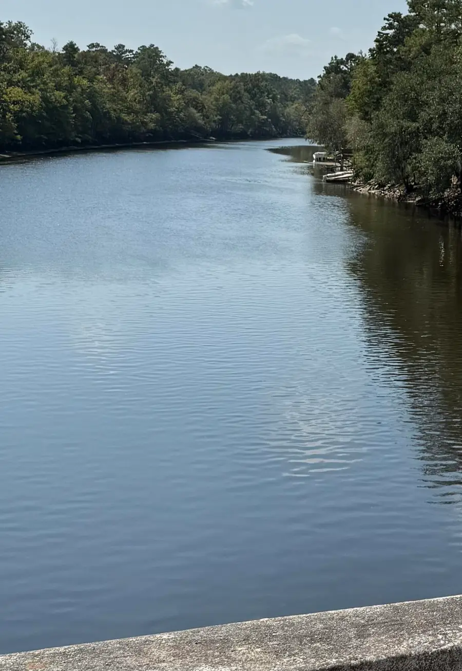 103 Happiness Lane, Ridgeville, SC 29472 - Image #3