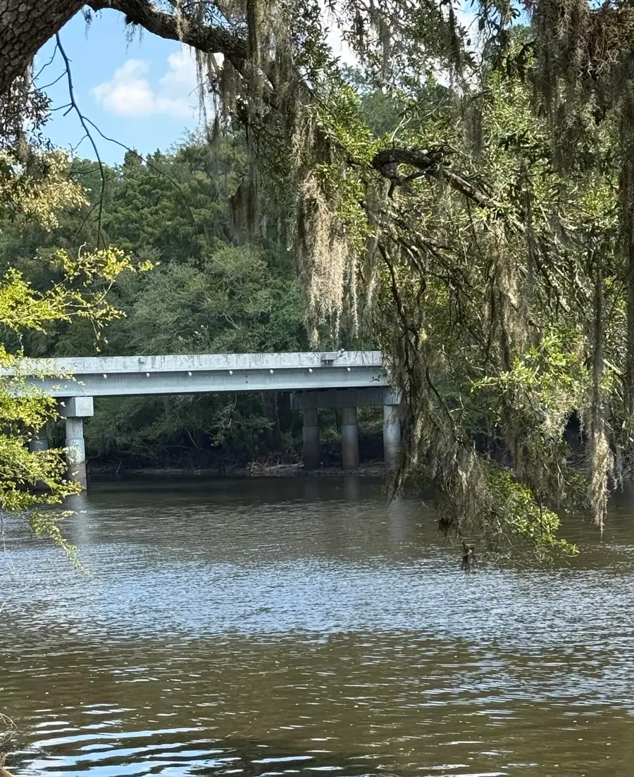 105 Happiness Lane, Ridgeville, SC 29472 - Image #2