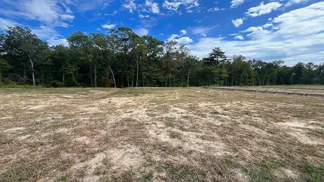 446 Tulip Poplar Drive, Moncks Corner, SC 29461 - Image #1