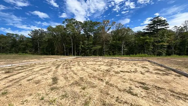 448 Tulip Poplar Drive, Moncks Corner, SC 29461 - Image #1