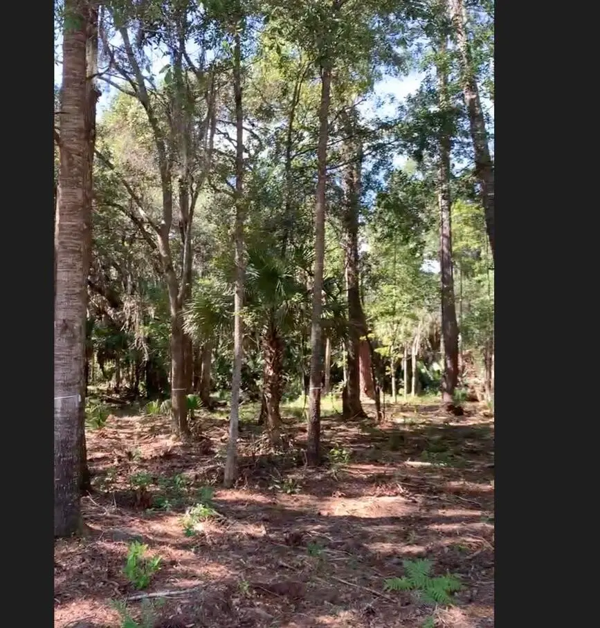 188 Vinson Road, Bluffton, SC 29910 - Image #2