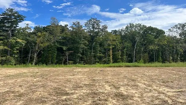 454 Tulip Poplar Drive, Moncks Corner, SC 29461 - Image #1