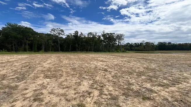 460 Tulip Poplar Drive, Moncks Corner, SC 29461 - Image #1