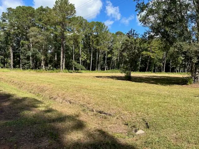 0 Horseford Road, Ridgeville, SC 29472 - Image #3