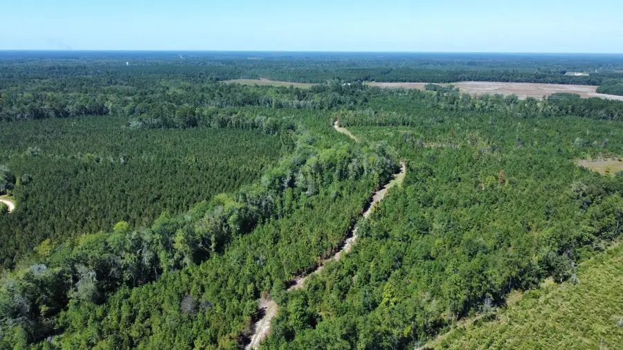 0 Beavers Pass Road, Smoaks, SC 29481 - Image #3