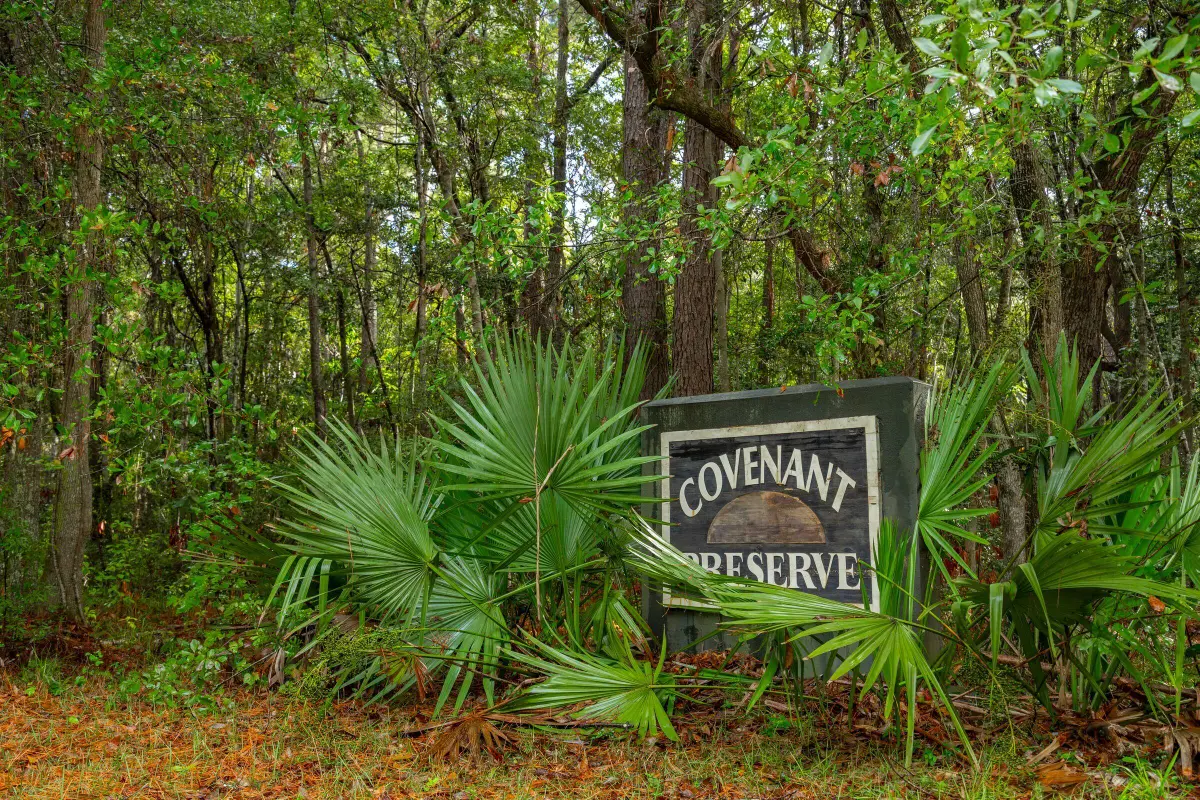 736 Wilson Cemetery Road, Awendaw, SC 29429 - Image #1