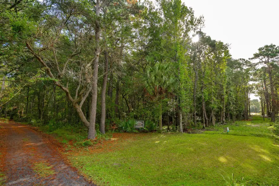 736 Wilson Cemetery Road, Awendaw, SC 29429 - Image #2