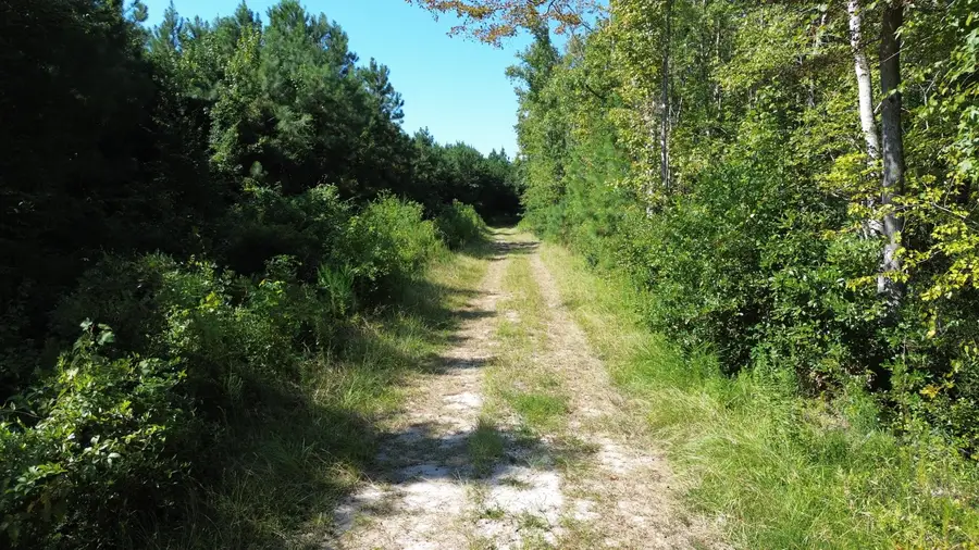 1 Lowcountry Highway, Ruffin, SC 29475 - Image #2