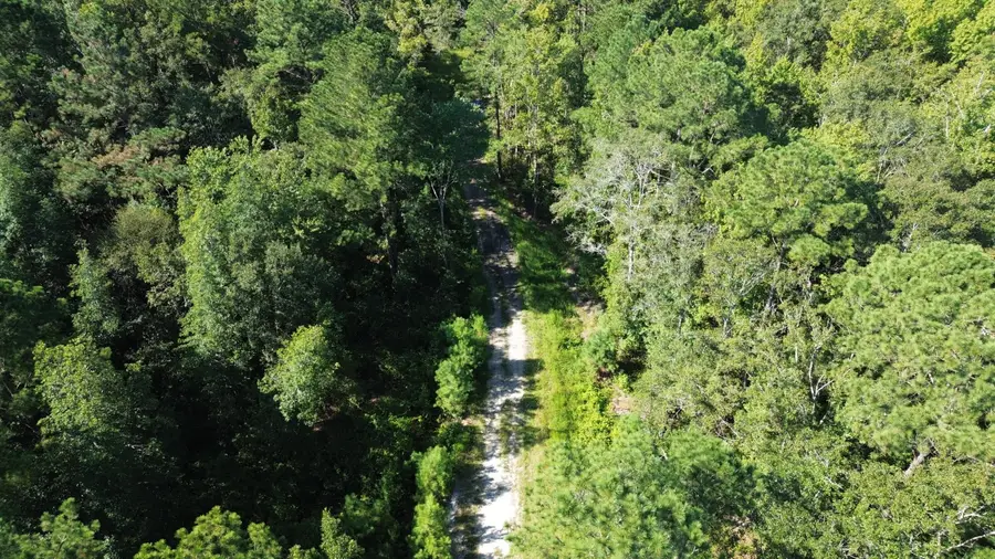 1 Lowcountry Highway, Ruffin, SC 29475 - Image #3