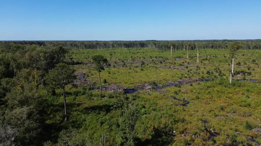 0 Hwy 63, Ruffin, SC 29475 - Image #2