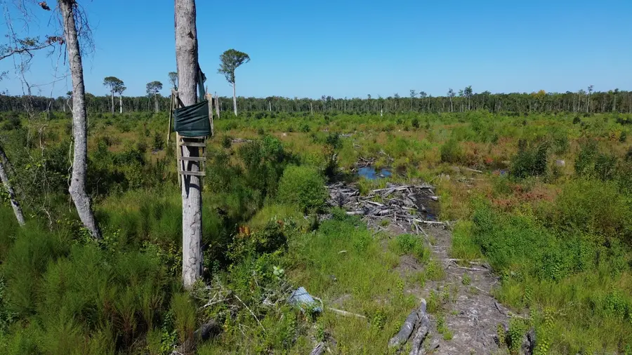 0 Hwy 63, Ruffin, SC 29475 - Image #3