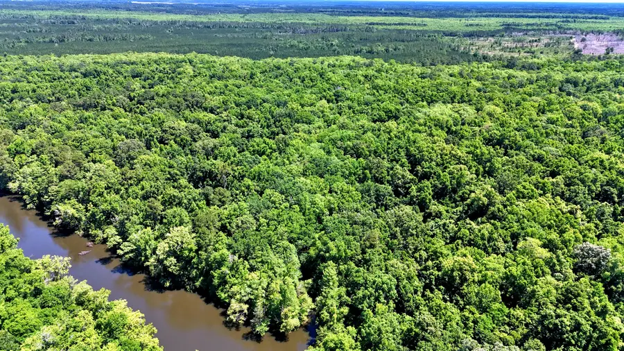 1401 Lambert Loop, Georgetown, SC 29440 - Image #2