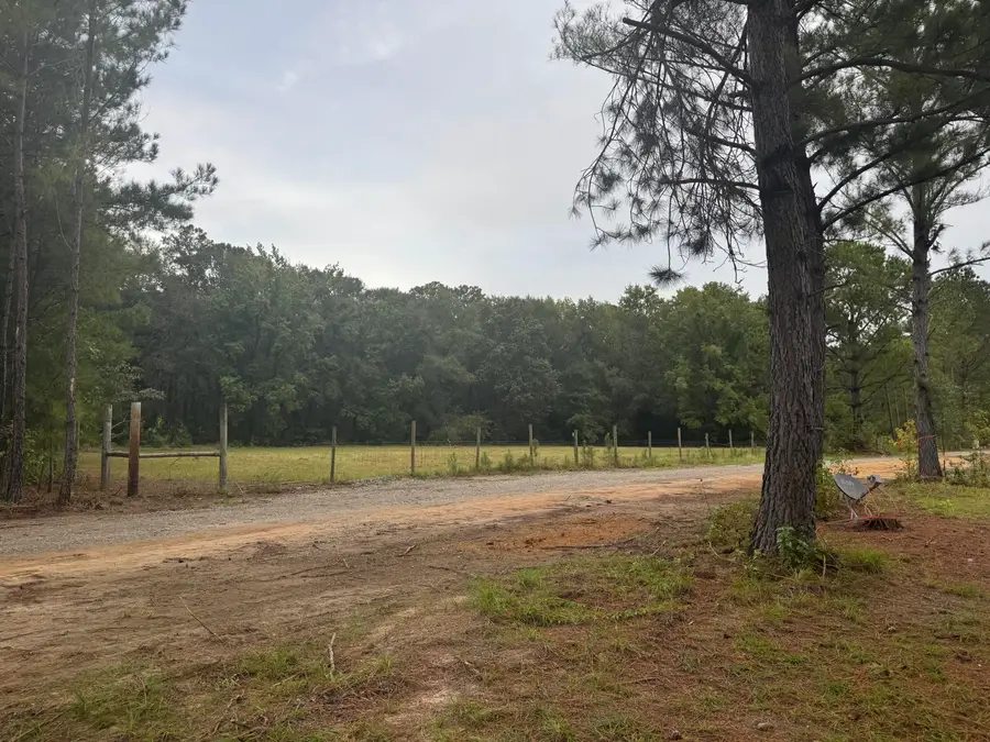 437 Cedar Crest Drive, Tillman, SC 29943 - Image #2